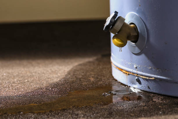Best Basement water damage restoration  in Elgin, SC