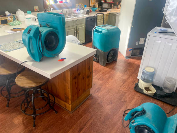Best Ceiling water damage repair  in Elgin, SC