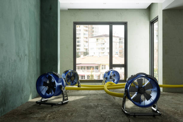 Best Water damage restoration insurance claims  in Elgin, SC